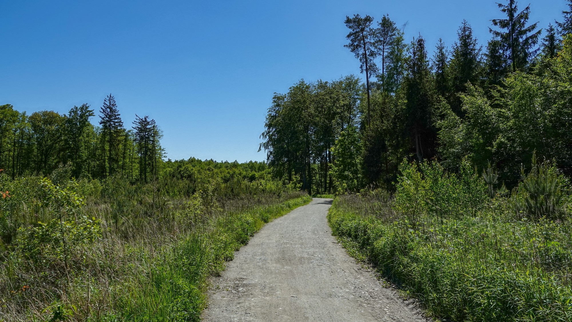 Uroki zielonej pory roku - zdjęcie 67