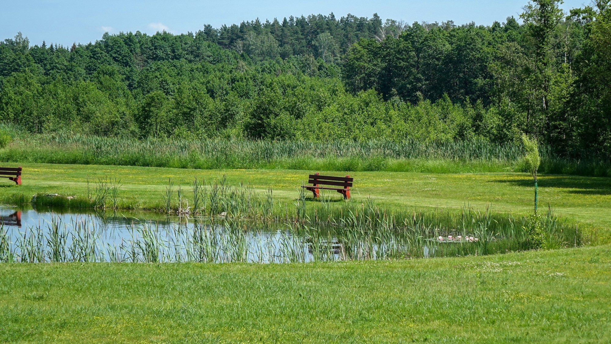 Uroki lata za miastem - zdjęcie 44