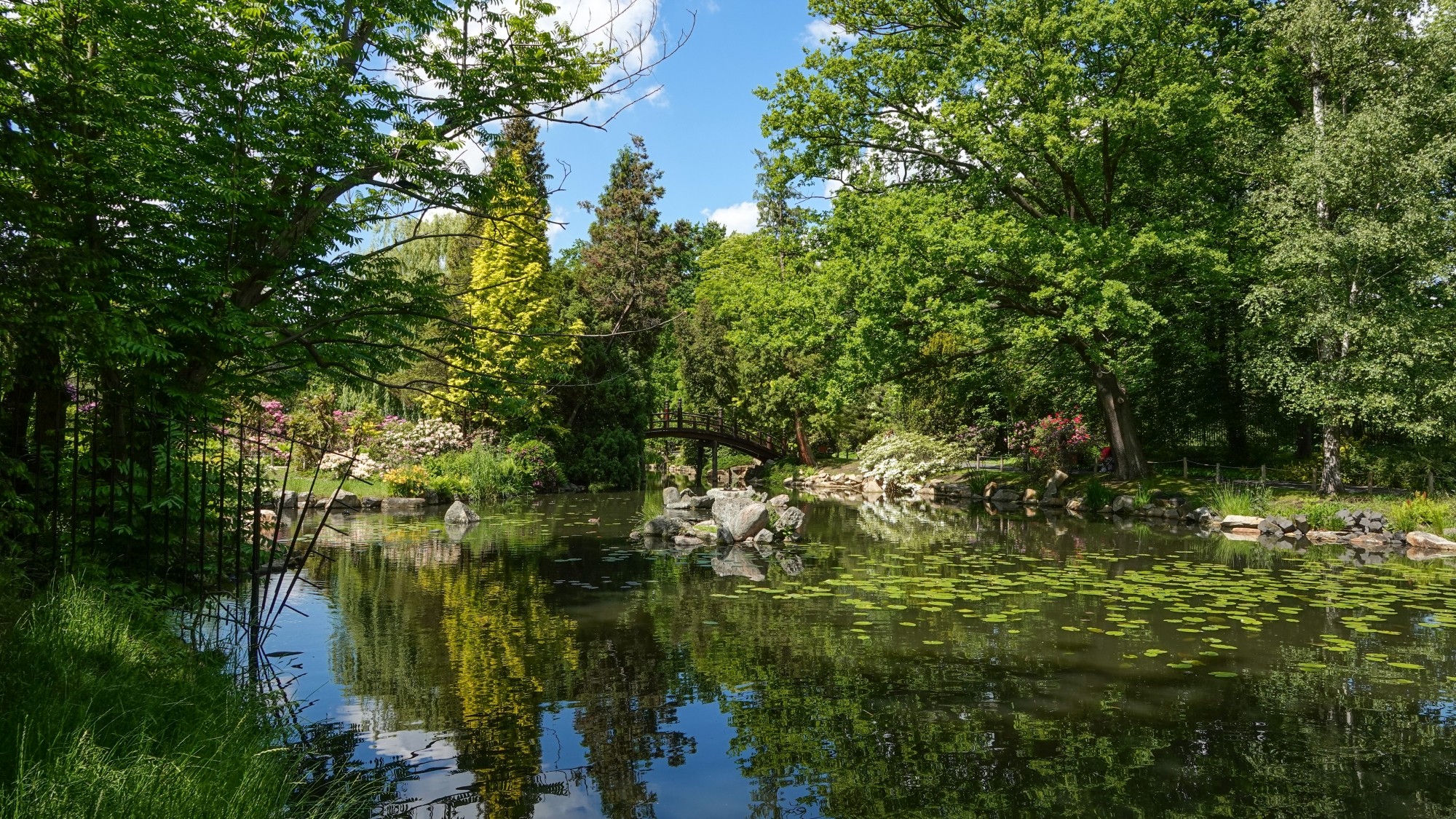 Uroki zielonej pory roku - zdjęcie 56
