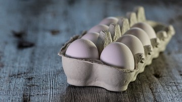 Salmonella w jajach spożywczych. Główny Inspektorat Sanitarny wydał ostrzeżenie
