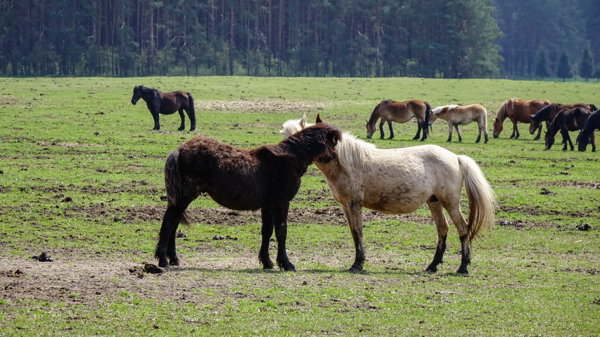 Odkryj piękno Polski w wakacje - zdjęcie 50