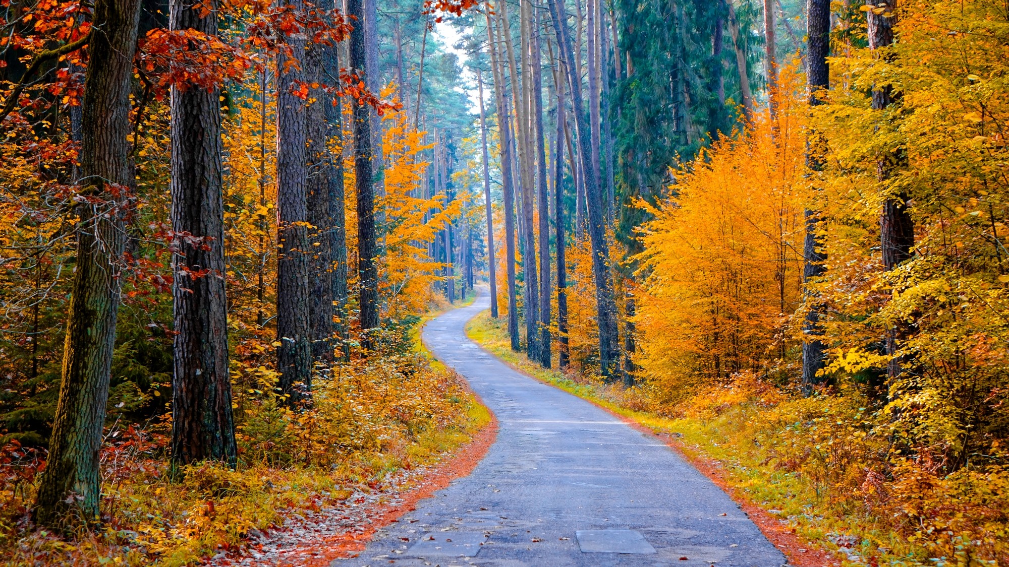 Kraina jesieni - zdjęcie 33