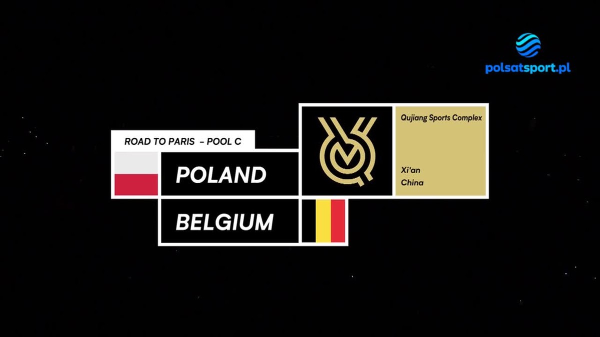Polska - Belgia 3:2. Skrót meczu