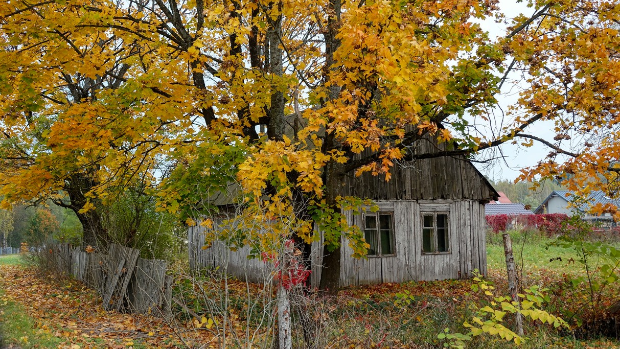 Barwy jesieni - zdjęcie 11