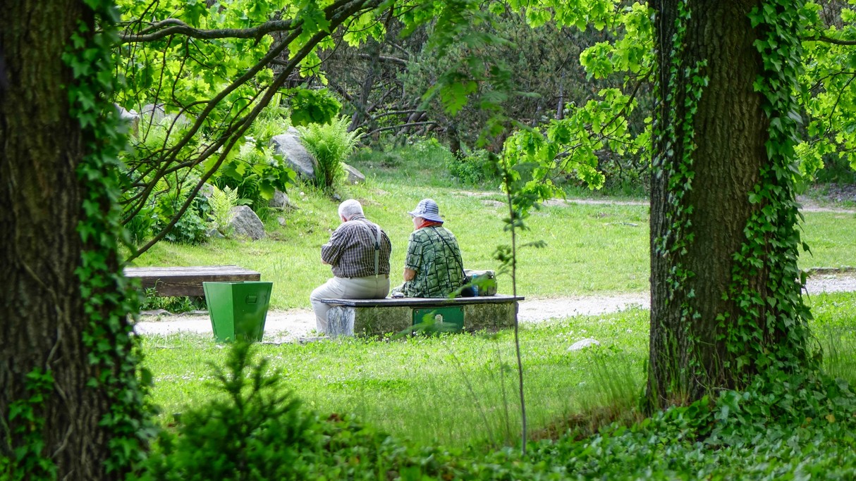 Maj w obiektywie - zdjęcie 21