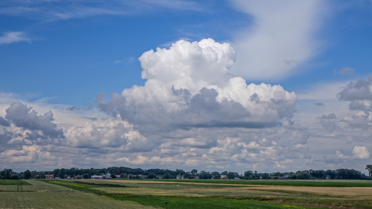 Czerwiec w obiektywie - zdjęcie 46