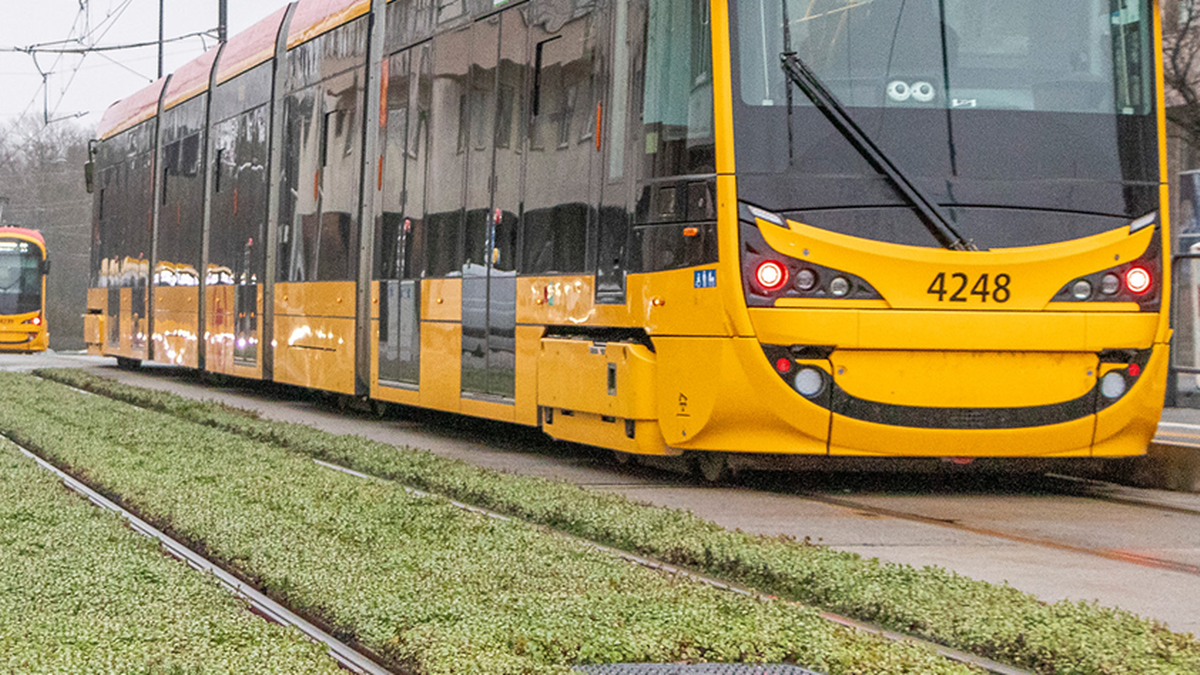 Zderzenie tramwajów w Warszawie. Są ranni, wśród nich dzieci