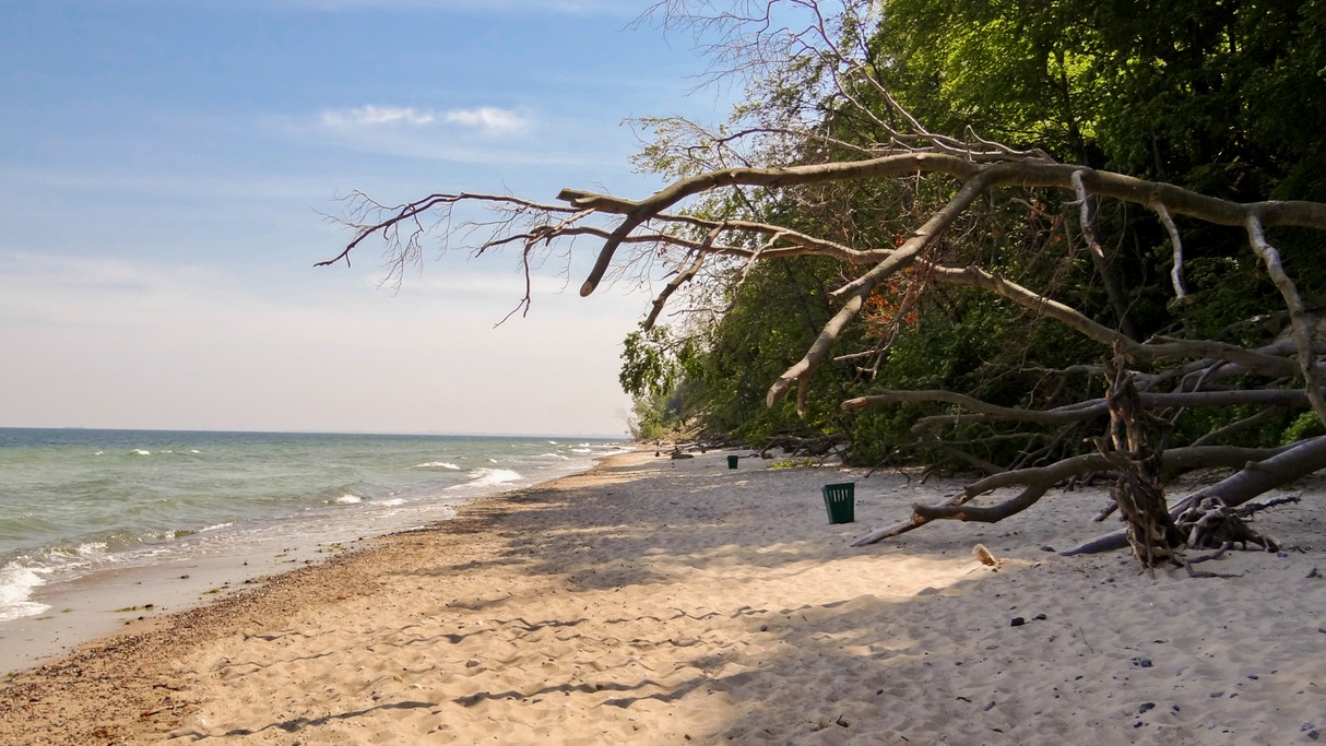 Zakochaj się w Polsce - zdjęcie 24