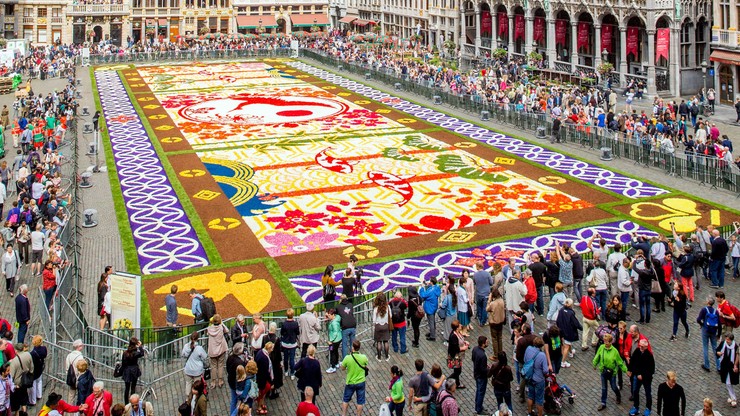 Niesamowity "dywan" w Brukseli. Zrobiono go z 600 tys. kwiatów