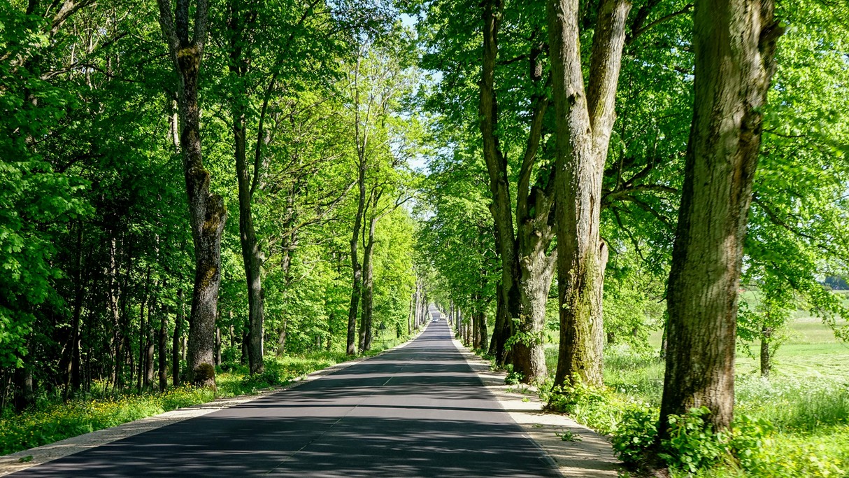 Najpiękniejsze polskie drogi - zdjęcie 23