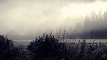 Niedziela mglista i pochmurna. Temperatury na plusie