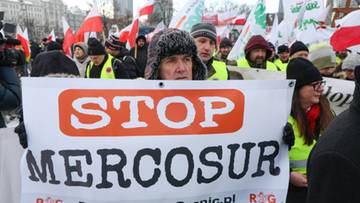 "Katastroficzna manipulacja". Ekspert przekonuje, że umowa Mercosur "to nie dramat"