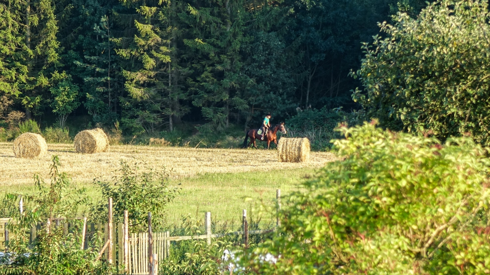 Sierpień w obiektywie - zdjęcie 48