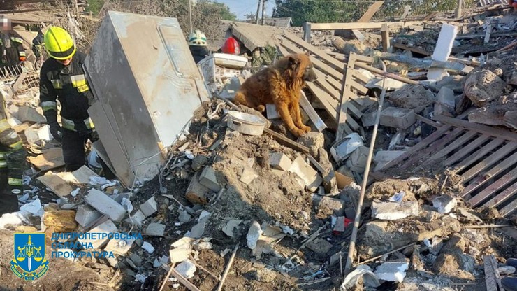Ukraina. Atak Rosjan w Dnieprze. Służby odnalazły psa na gruzach, czekał na właścicieli