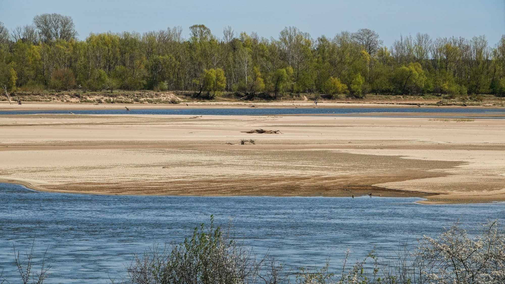 Kwiecień w obiektywie - zdjęcie 23