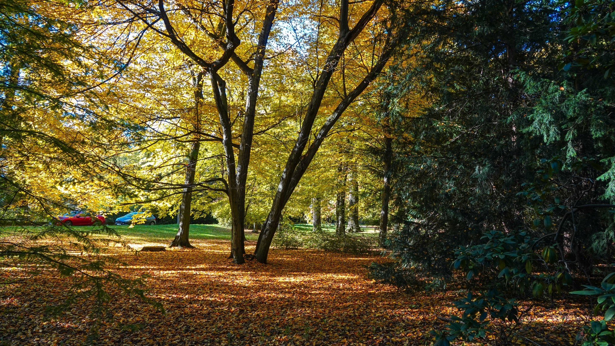 Wszystkie barwy jesieni - zdjęcie 59