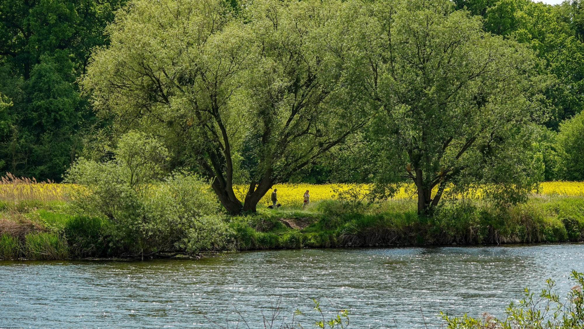 Całe piękno późnej wiosny - zdjęcie 17