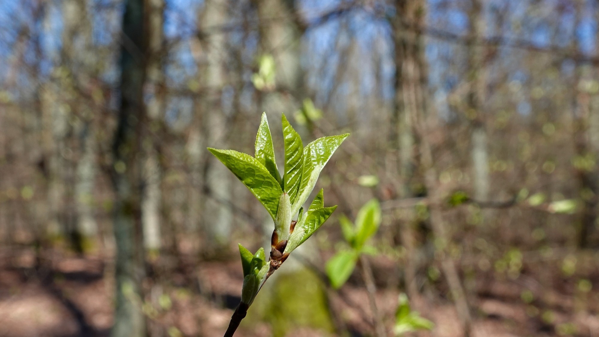 Marzec w obiektywie - zdjęcie 19