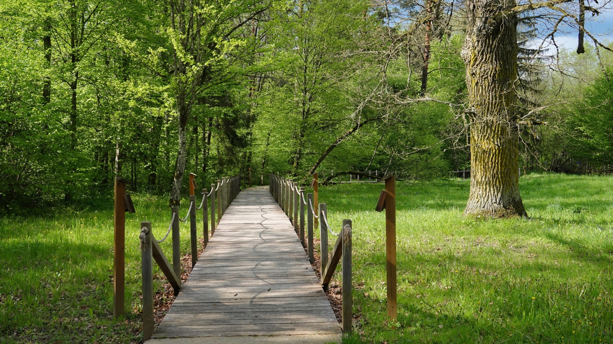 Od morza po góry - zdjęcie 43