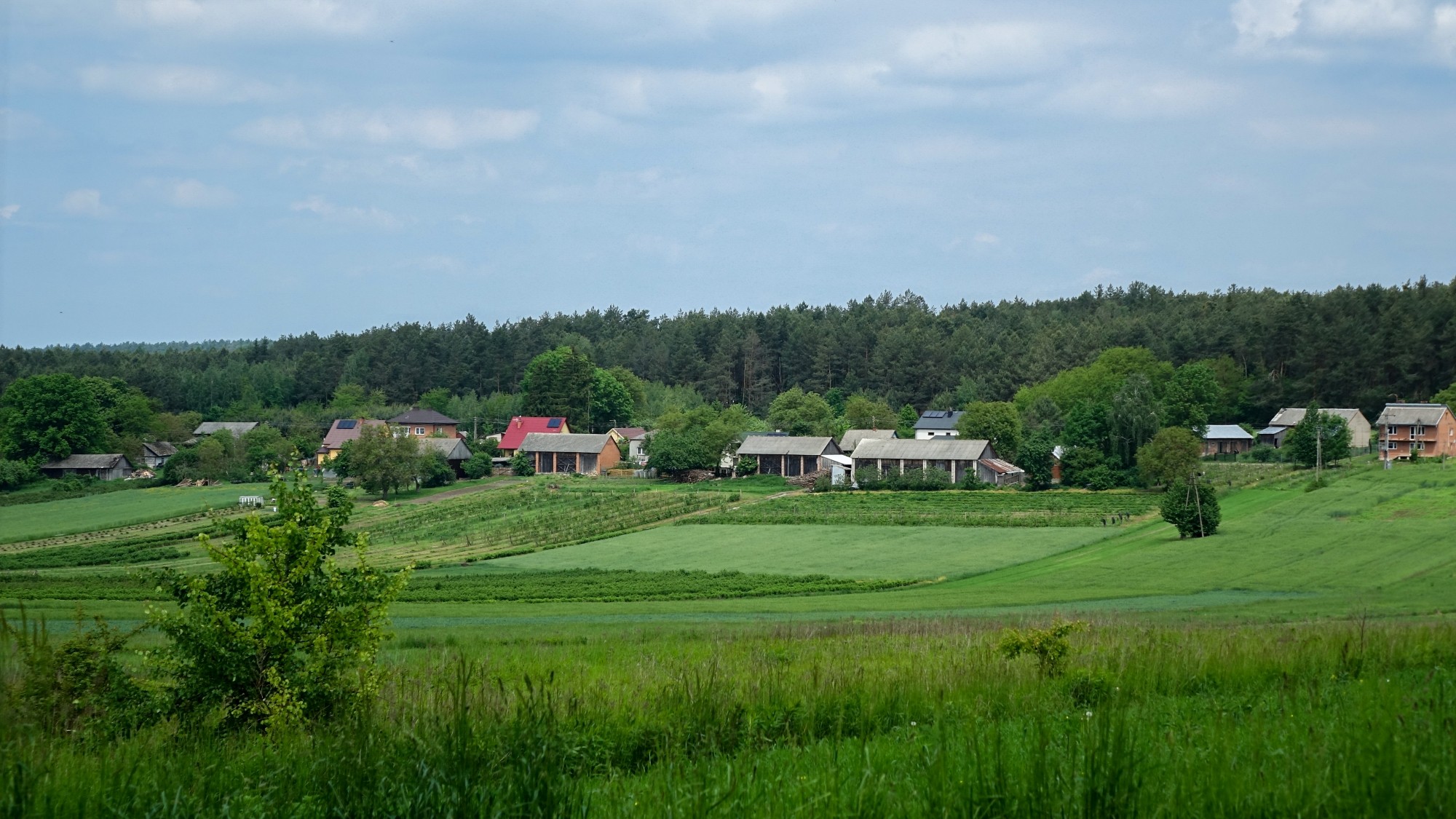 Maj w obiektywie - zdjęcie 32