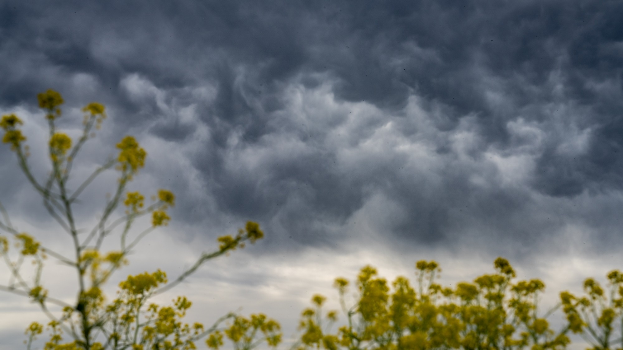 Lato na prowincji - zdjęcie 23