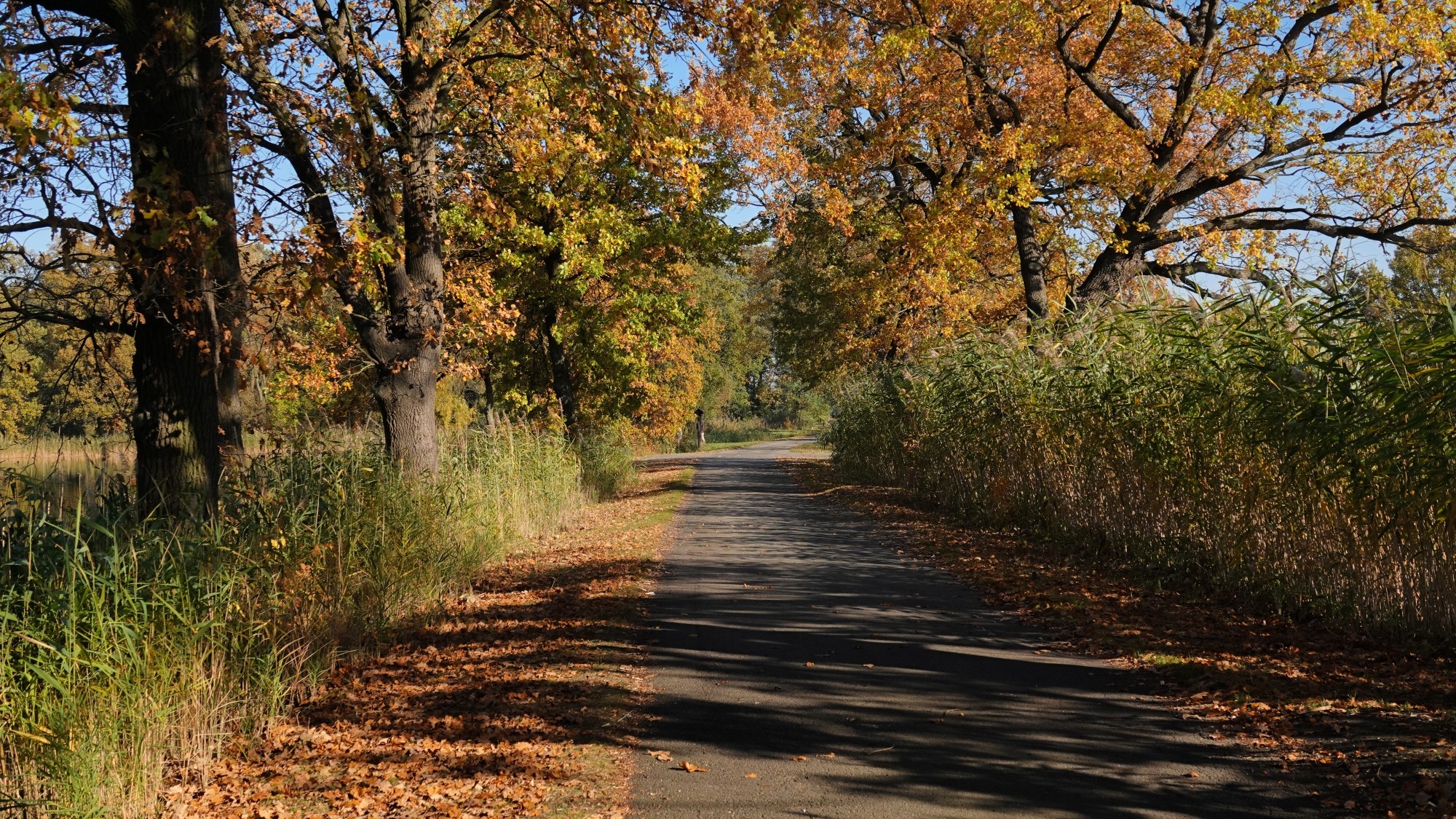 Jesienne klimaty - zdjęcie 35