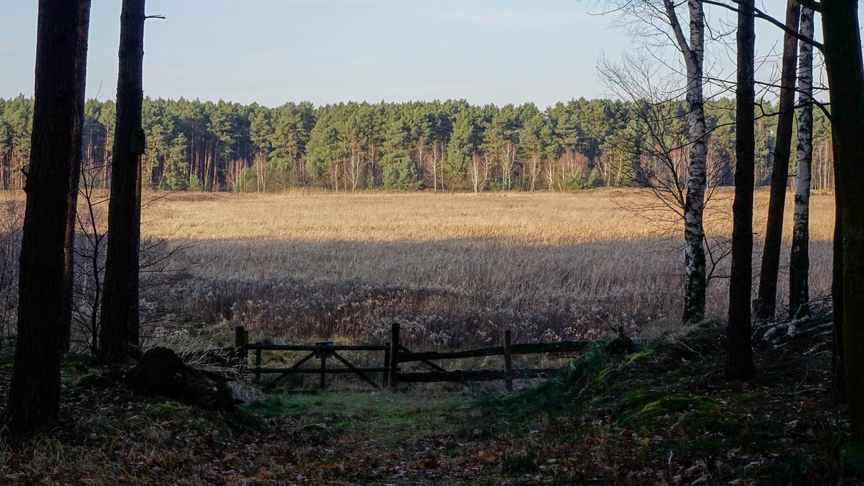 Grudzień w obiektywie - zdjęcie 37