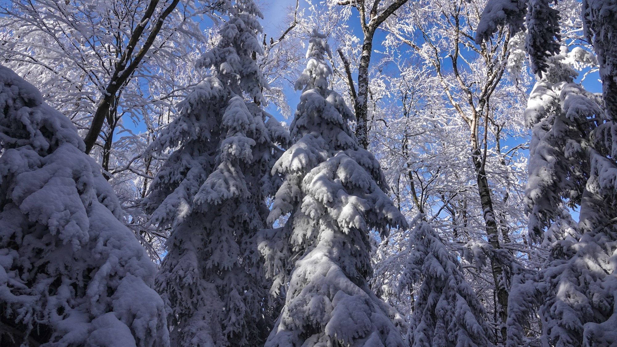 Kraina Narnii - zdjęcie 6
