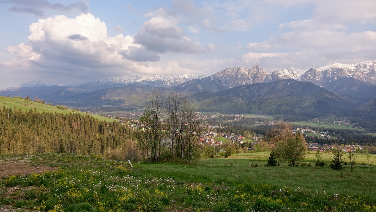 Powiewy wiosny - zdjęcie 4