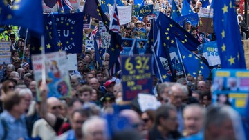 "Polacy nie żyją już w W. Brytanii, lecz w państwie pustki". Kilkadziesiąt tysięcy osób protestowało przeciw Brexitowi