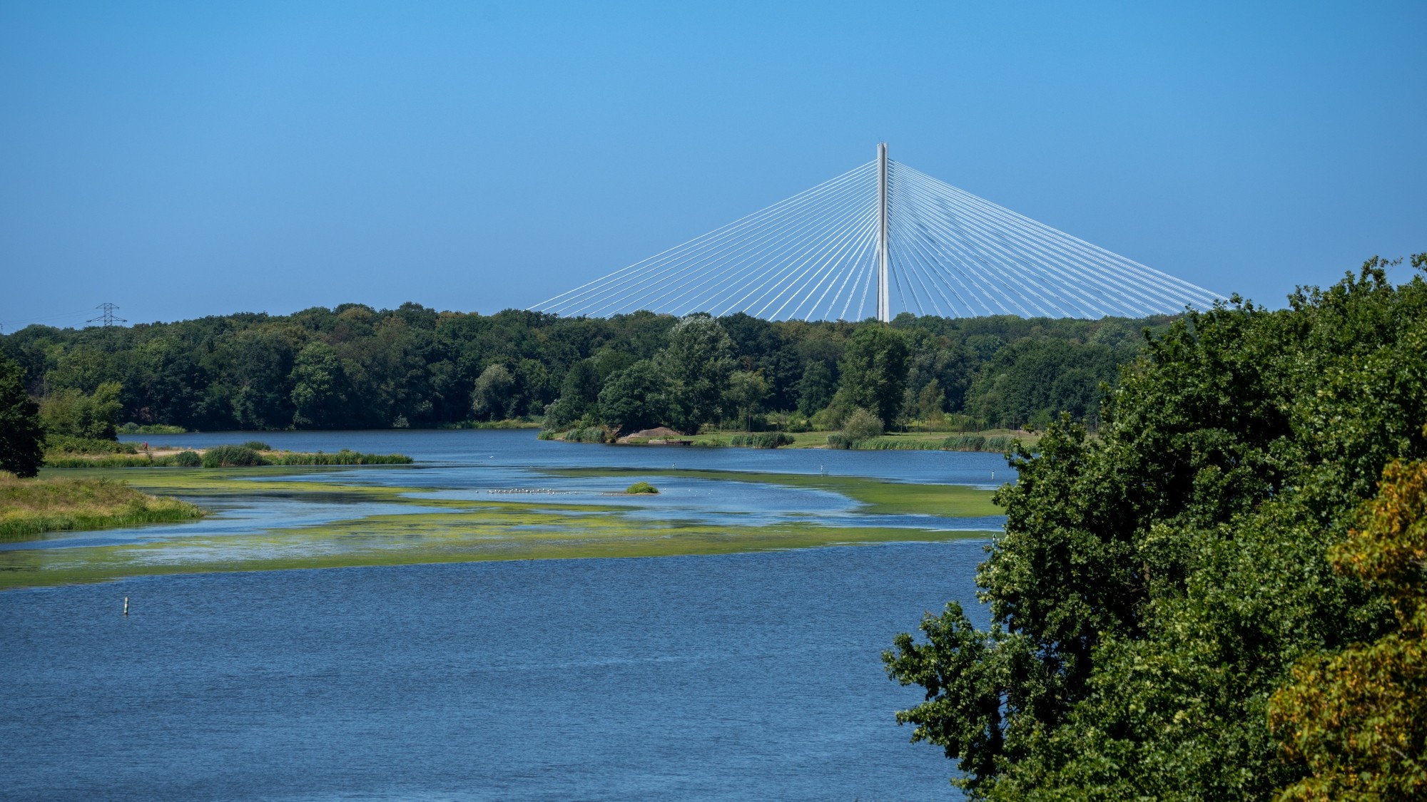 Kolory lata - zdjęcie 20