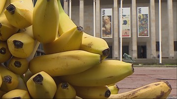 Muzeum Narodowe przywraca "kobietę jedzącą banany"