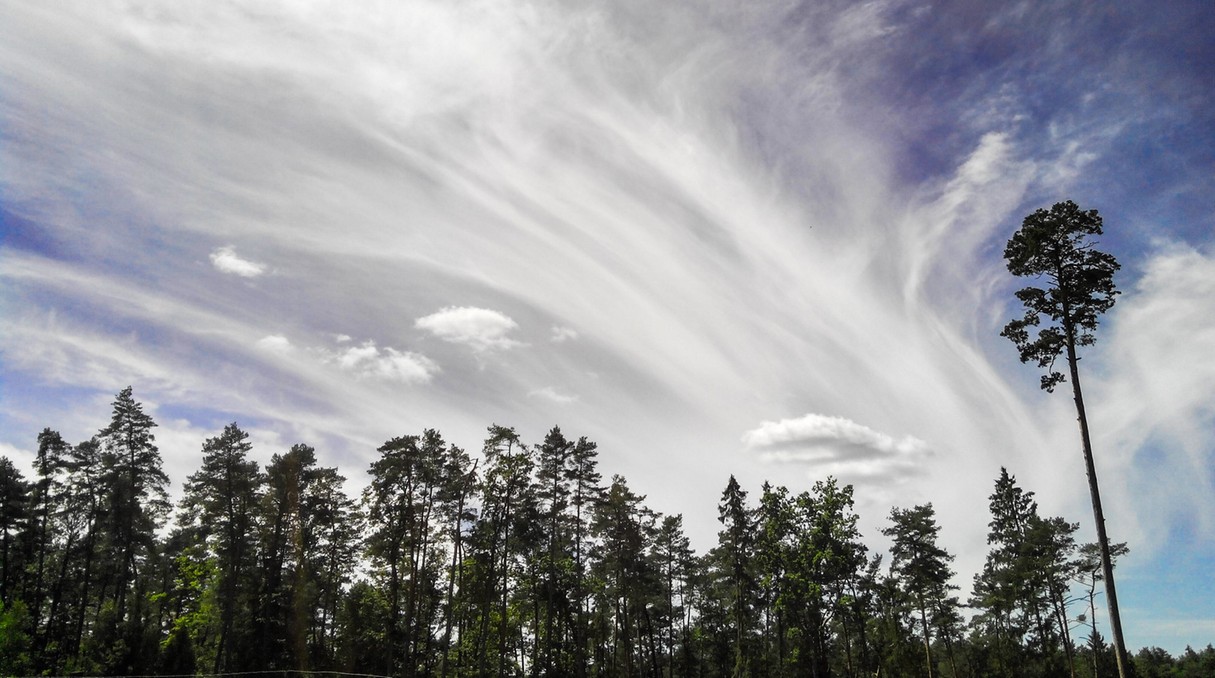 Piękno polskich krajobrazów - zdjęcie 20