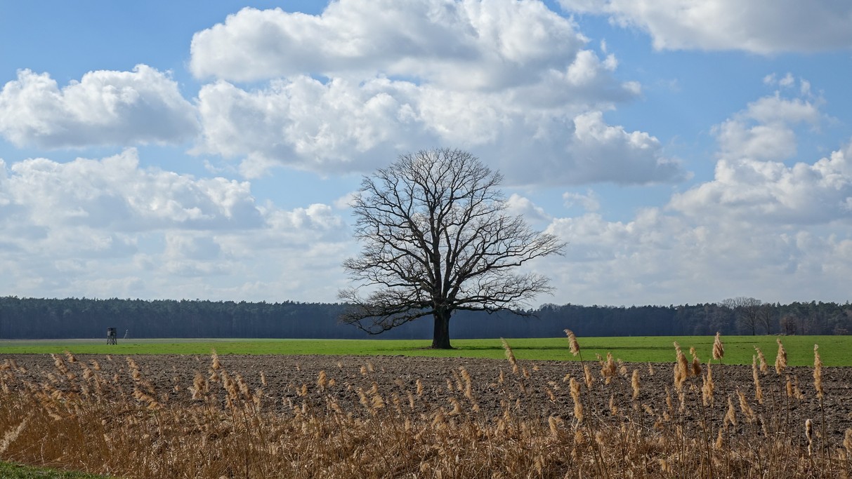Marzec w obiektywie - zdjęcie 8