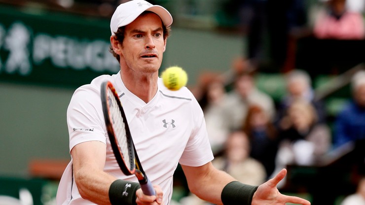 French Open: Murray i Stepanek dokończą mecz we wtorek