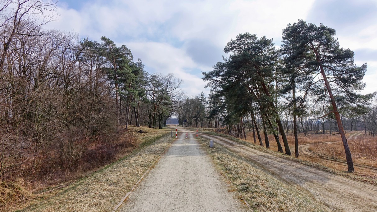 Luty w obiektywie - zdjęcie 51