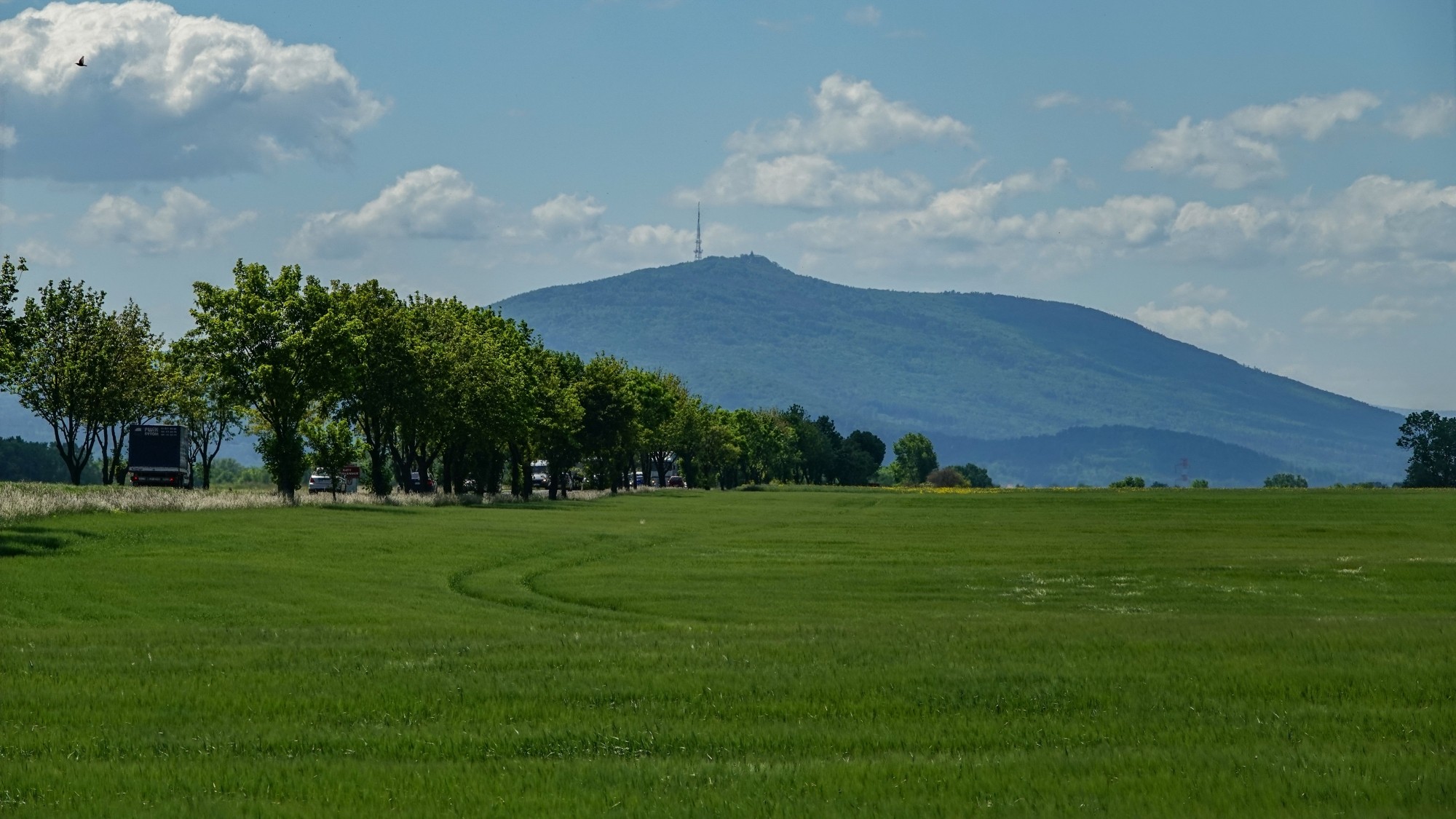Uroki zielonej pory roku - zdjęcie 36