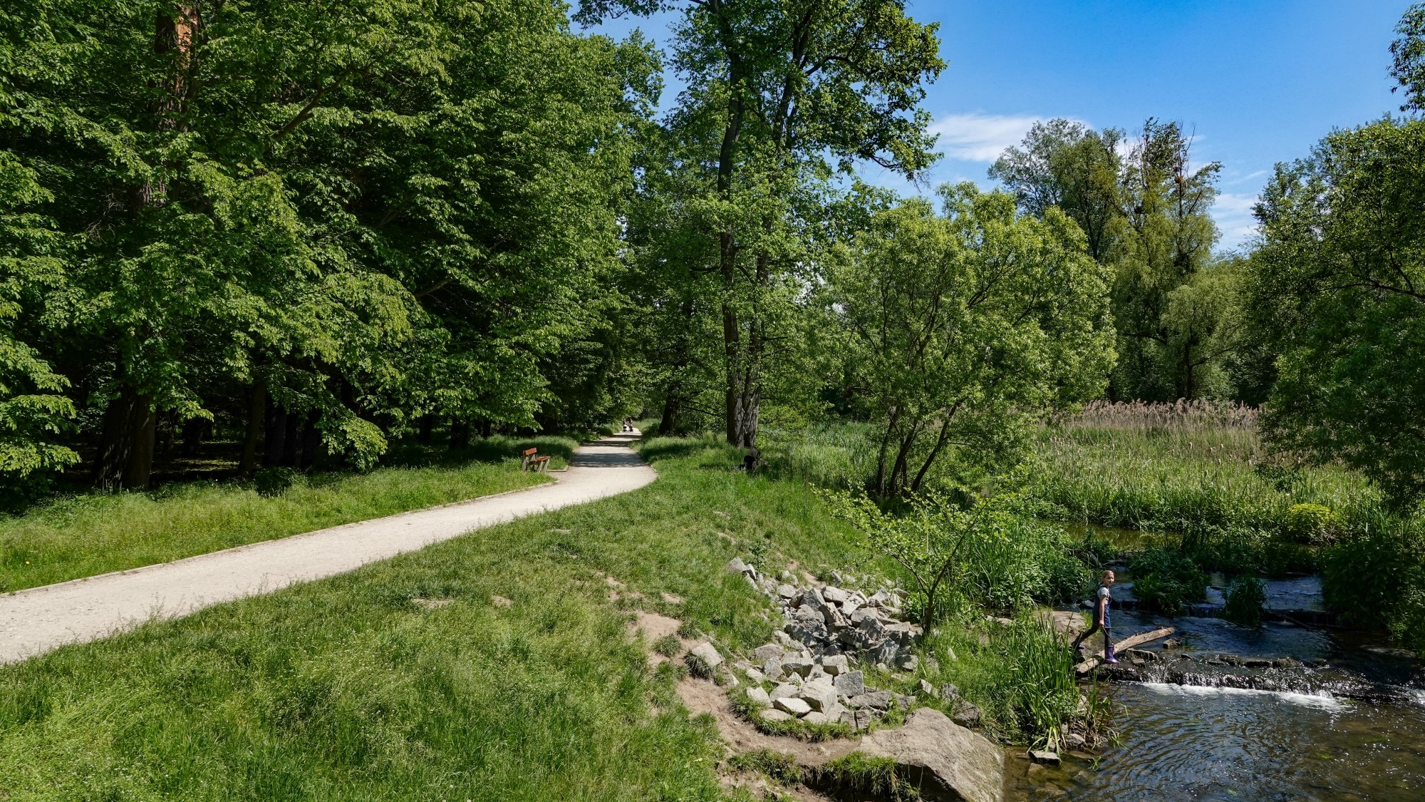 Uroki zielonej pory roku - zdjęcie 30
