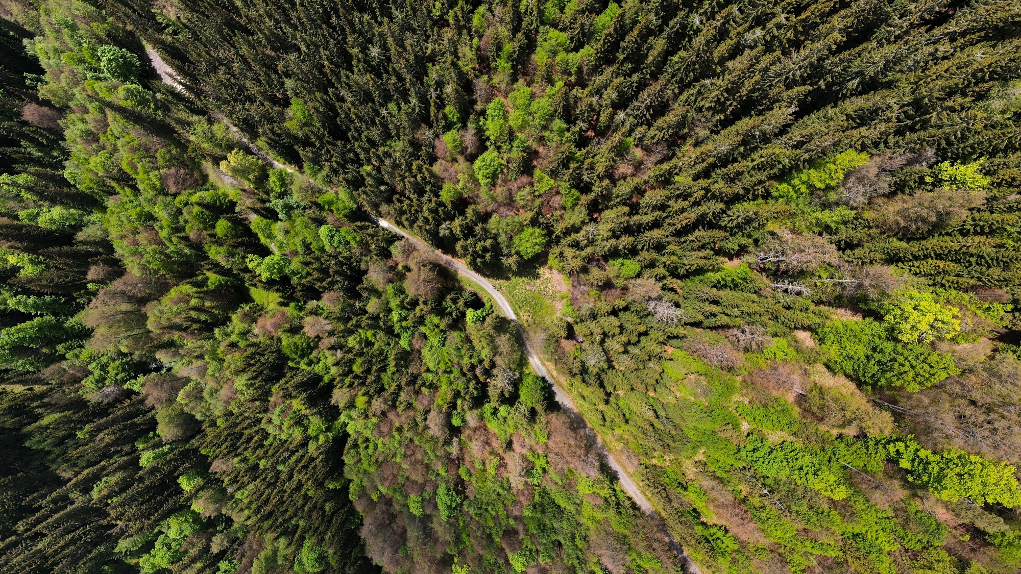 Piękne letnie krajobrazy z lotu ptaka - zdjęcie 8