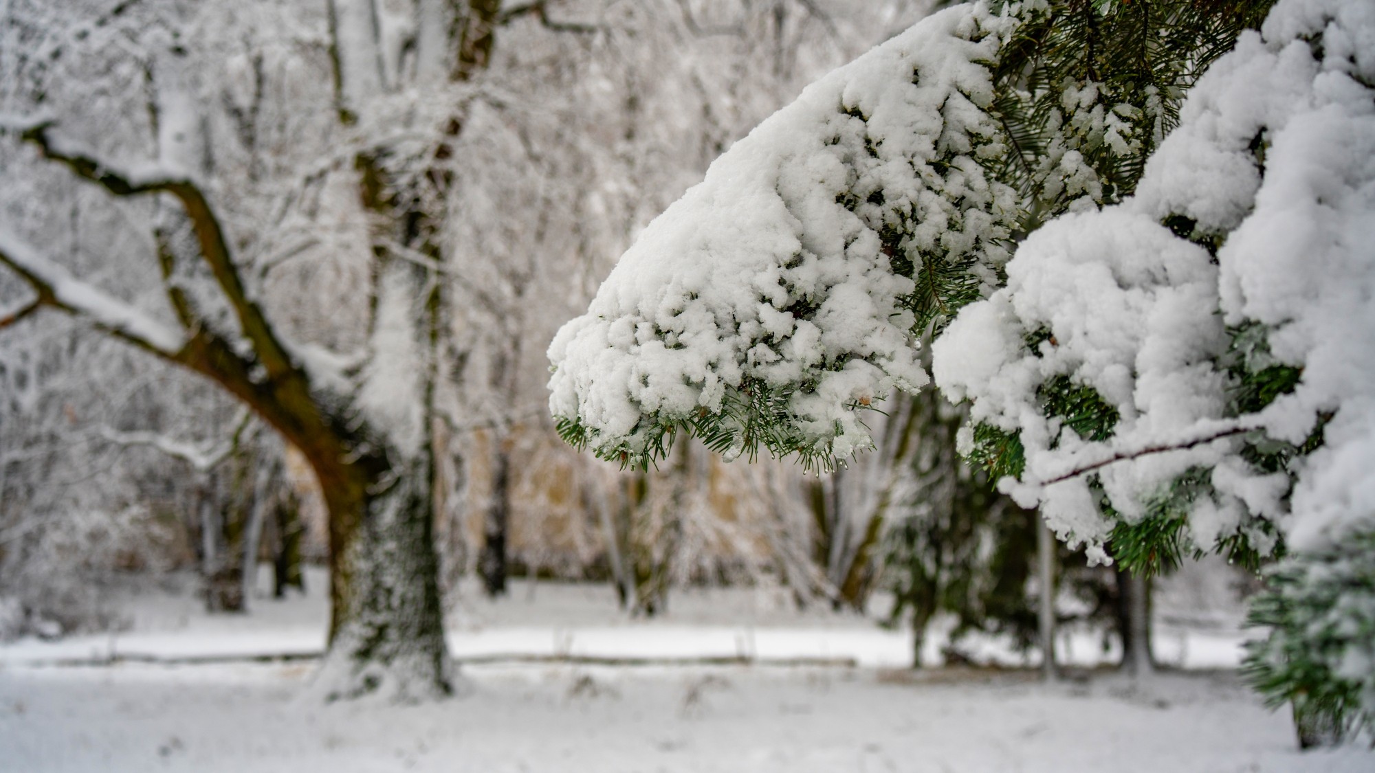 Różne oblicza zimy - zdjęcie 14