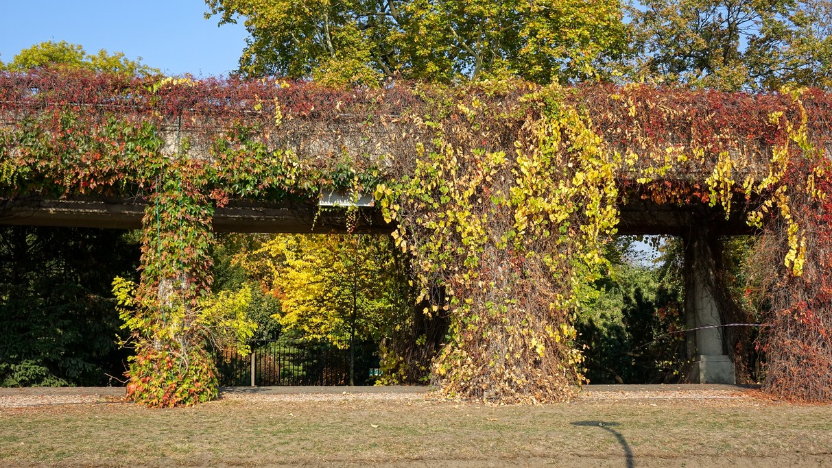 Jesienne klimaty - zdjęcie 11