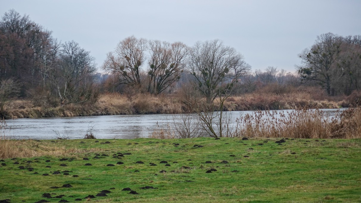 Styczeń w obiektywie - zdjęcie 60