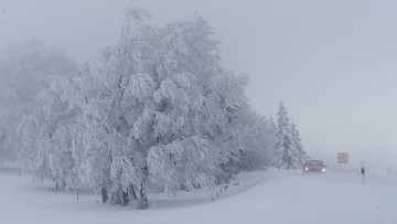 Śnieżyce w Austrii. 9 tys. gospodarstw bez prądu