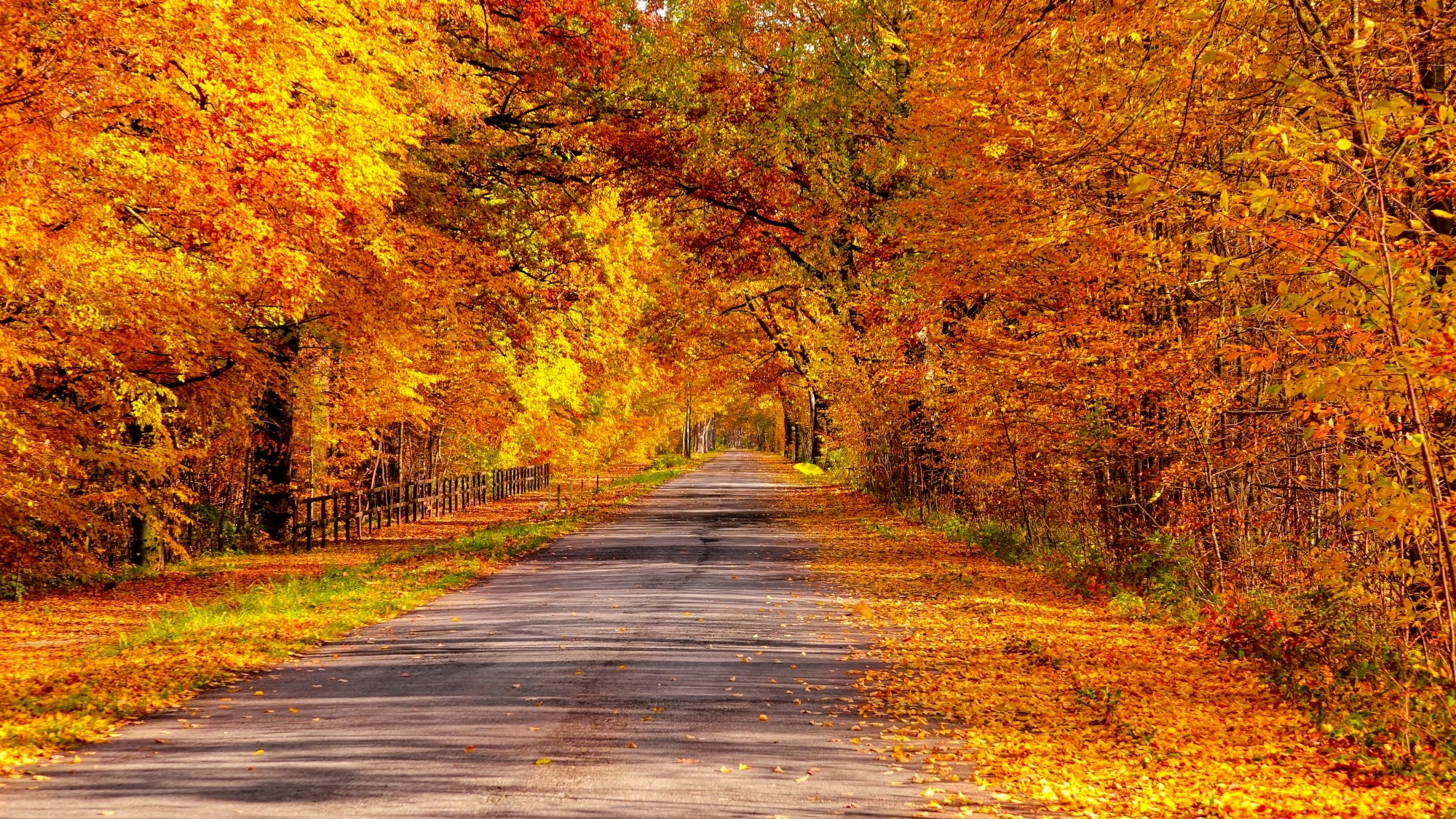 Kraina jesieni - zdjęcie 14