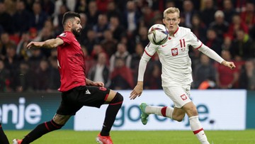 El. MŚ 2022: Jak wygląda tabela po meczu Albania - Polska?