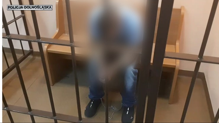 Dolnośląskie. Strzelanina w Niemczy areszt dla podejrzanego