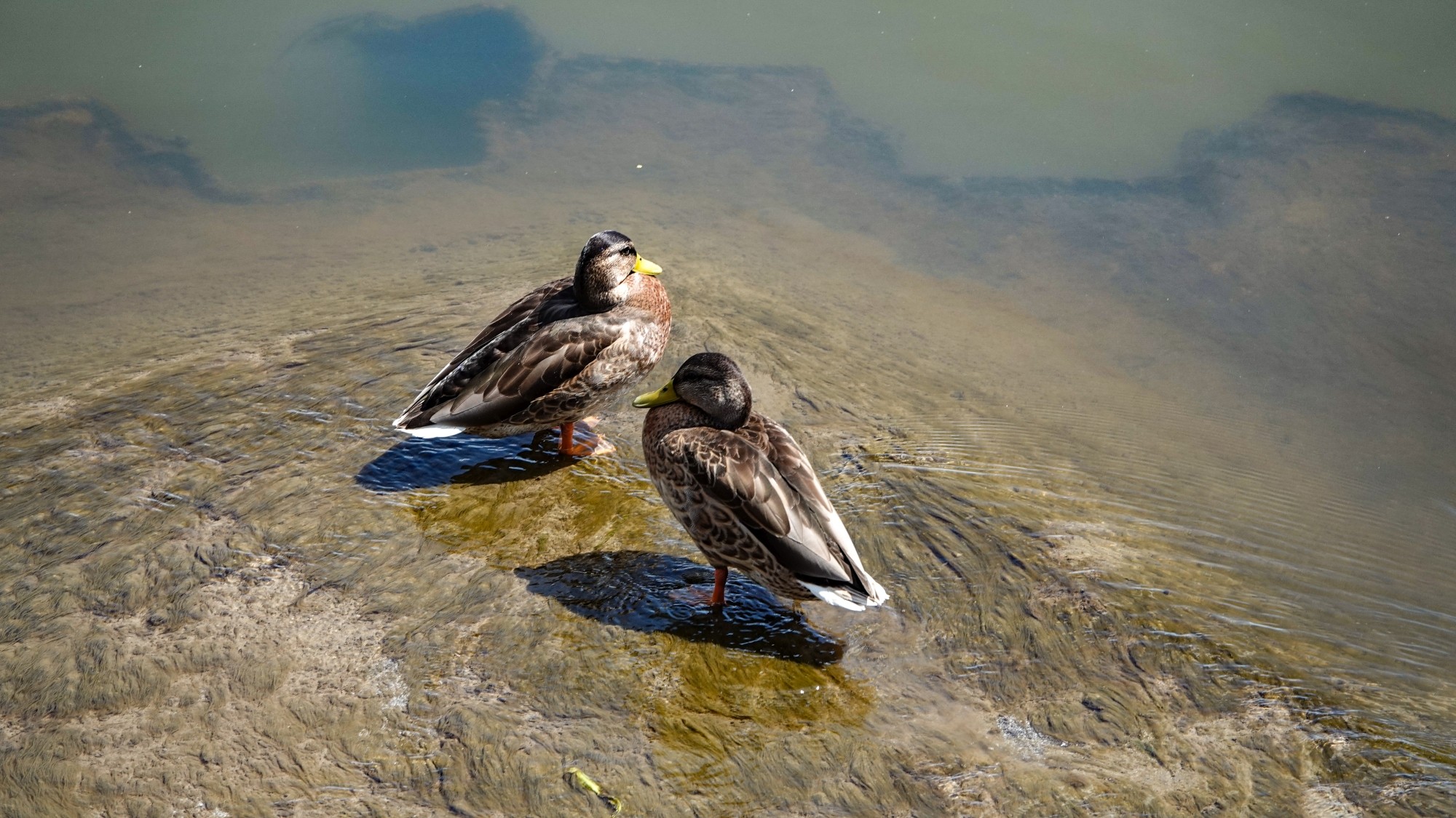 Podróż przez polską prowincję - zdjęcie 30