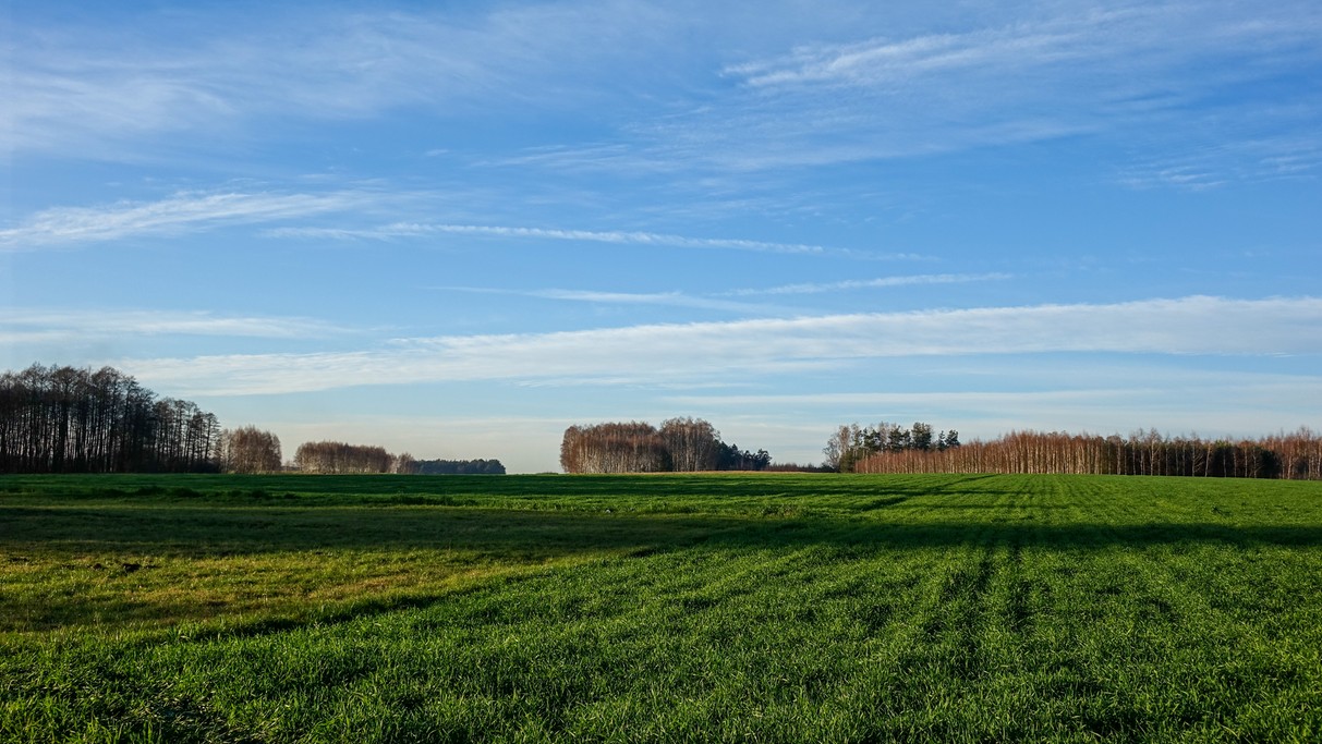 Listopad w obiektywie - zdjęcie 33