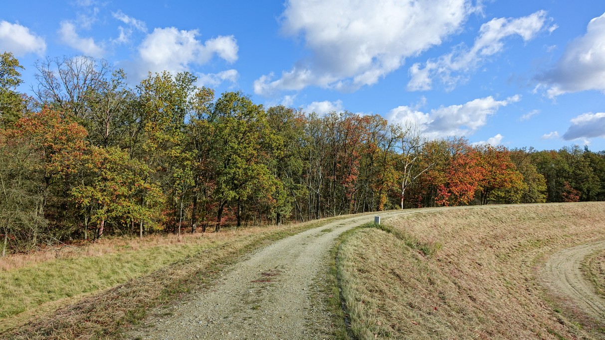 Jesienne krajobrazy za miastem - zdjęcie 10