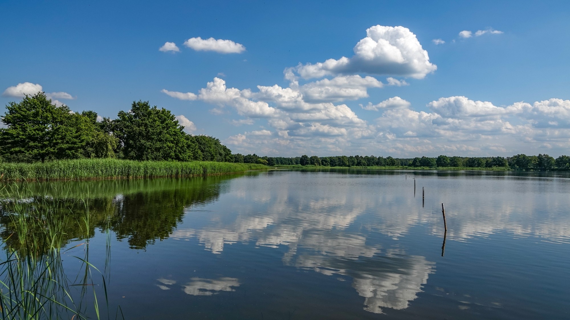 Środek lata w plenerze - zdjęcie 20